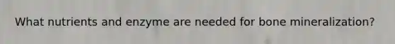 What nutrients and enzyme are needed for bone mineralization?