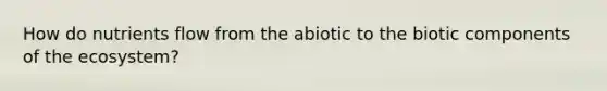 How do nutrients flow from the abiotic to the biotic components of the ecosystem?