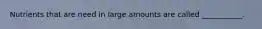 Nutrients that are need in large amounts are called ___________.