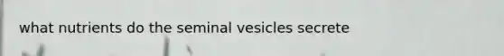 what nutrients do the seminal vesicles secrete