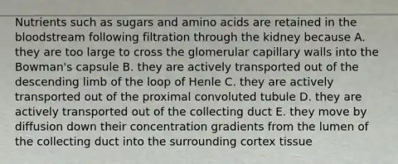 Nutrients such as sugars and amino acids are retained in the bloodstream following filtration through the kidney because A. they are too large to cross the glomerular capillary walls into the Bowman's capsule B. they are actively transported out of the descending limb of the loop of Henle C. they are actively transported out of the proximal convoluted tubule D. they are actively transported out of the collecting duct E. they move by diffusion down their concentration gradients from the lumen of the collecting duct into the surrounding cortex tissue