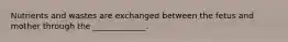 Nutrients and wastes are exchanged between the fetus and mother through the _____________.