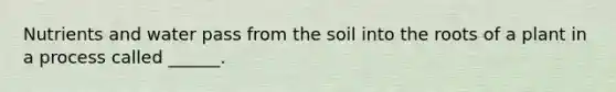 Nutrients and water pass from the soil into the roots of a plant in a process called ______.