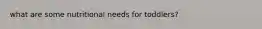 what are some nutritional needs for toddlers?