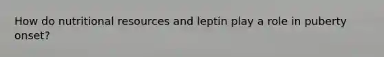 How do nutritional resources and leptin play a role in puberty onset?