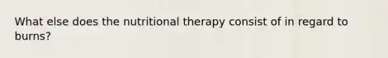 What else does the nutritional therapy consist of in regard to burns?