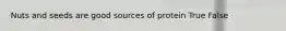 Nuts and seeds are good sources of protein True False