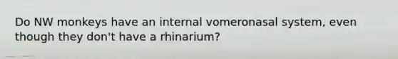 Do NW monkeys have an internal vomeronasal system, even though they don't have a rhinarium?