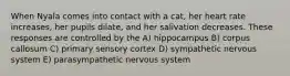 When Nyala comes into contact with a cat, her heart rate increases, her pupils dilate, and her salivation decreases. These responses are controlled by the A) hippocampus B) corpus callosum C) primary sensory cortex D) sympathetic nervous system E) parasympathetic nervous system