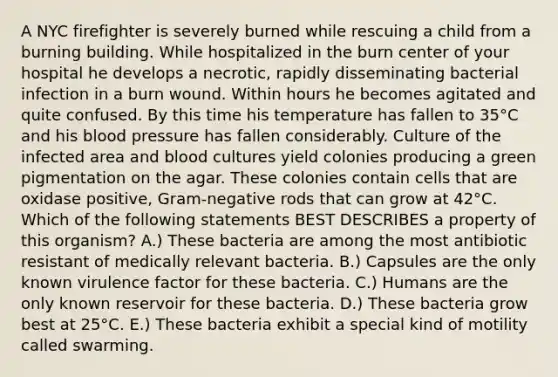 A NYC firefighter is severely burned while rescuing a child from a burning building. While hospitalized in the burn center of your hospital he develops a necrotic, rapidly disseminating bacterial infection in a burn wound. Within hours he becomes agitated and quite confused. By this time his temperature has fallen to 35°C and his blood pressure has fallen considerably. Culture of the infected area and blood cultures yield colonies producing a green pigmentation on the agar. These colonies contain cells that are oxidase positive, Gram-negative rods that can grow at 42°C. Which of the following statements BEST DESCRIBES a property of this organism? A.) These bacteria are among the most antibiotic resistant of medically relevant bacteria. B.) Capsules are the only known virulence factor for these bacteria. C.) Humans are the only known reservoir for these bacteria. D.) These bacteria grow best at 25°C. E.) These bacteria exhibit a special kind of motility called swarming.