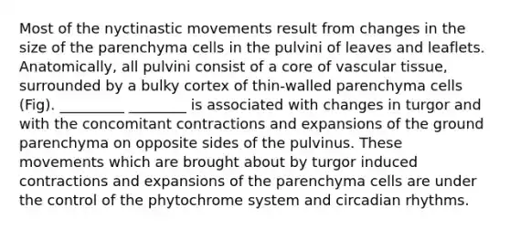 Most of the nyctinastic movements result from changes in the size of the parenchyma cells in the pulvini of leaves and leaflets. Anatomically, all pulvini consist of a core of vascular tissue, surrounded by a bulky cortex of thin-walled parenchyma cells (Fig). _________ ________ is associated with changes in turgor and with the concomitant contractions and expansions of the ground parenchyma on opposite sides of the pulvinus. These movements which are brought about by turgor induced contractions and expansions of the parenchyma cells are under the control of the phytochrome system and circadian rhythms.