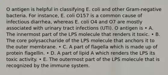 O antigen is helpful in classifying E. coli and other Gram-negative bacteria. For instance, E. coli O157 is a common cause of infectious diarrhea, whereas E. coli O4 and O7 are mostly associated with urinary tract infections (UTI). O antigen is • A. The innermost part of the LPS molecule that renders it toxic. • B. The core polysaccharide of the LPS molecule that anchors it to the outer membrane. • C. A part of flagella which is made up of protein flagellin. • D. A part of lipid A which renders the LPS its toxic activity. • E. The outermost part of the LPS molecule that is recognized by the immune system.