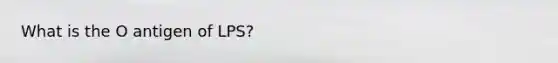 What is the O antigen of LPS?