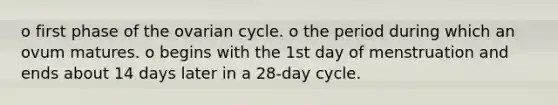 o first phase of the ovarian cycle. o the period during which an ovum matures. o begins with the 1st day of menstruation and ends about 14 days later in a 28-day cycle.