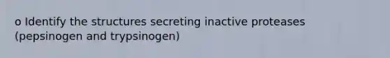 o Identify the structures secreting inactive proteases (pepsinogen and trypsinogen)