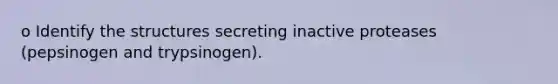o Identify the structures secreting inactive proteases (pepsinogen and trypsinogen).