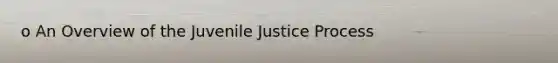 o An Overview of the Juvenile Justice Process