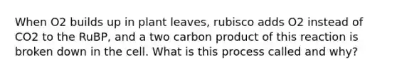 When O2 builds up in plant leaves, rubisco adds O2 instead of CO2 to the RuBP, and a two carbon product of this reaction is broken down in the cell. What is this process called and why?