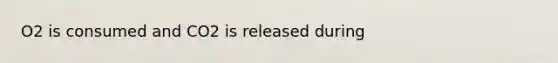 O2 is consumed and CO2 is released during