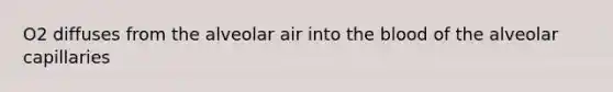 O2 diffuses from the alveolar air into <a href='https://www.questionai.com/knowledge/k7oXMfj7lk-the-blood' class='anchor-knowledge'>the blood</a> of the alveolar capillaries