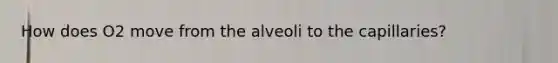 How does O2 move from the alveoli to the capillaries?