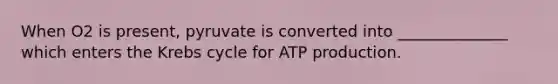 When O2 is present, pyruvate is converted into ______________ which enters the Krebs cycle for ATP production.