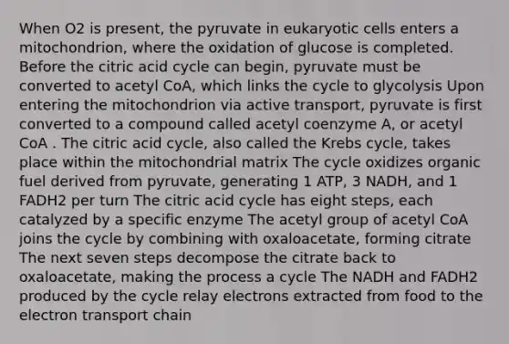 When O2 is present, the pyruvate in eukaryotic cells enters a mitochondrion, where the oxidation of glucose is completed. Before the citric acid cycle can begin, pyruvate must be converted to acetyl CoA, which links the cycle to glycolysis Upon entering the mitochondrion via active transport, pyruvate is first converted to a compound called acetyl coenzyme A, or acetyl CoA . The citric acid cycle, also called the <a href='https://www.questionai.com/knowledge/kqfW58SNl2-krebs-cycle' class='anchor-knowledge'>krebs cycle</a>, takes place within the mitochondrial matrix The cycle oxidizes organic fuel derived from pyruvate, generating 1 ATP, 3 NADH, and 1 FADH2 per turn The citric acid cycle has eight steps, each catalyzed by a specific enzyme The acetyl group of acetyl CoA joins the cycle by combining with oxaloacetate, forming citrate The next seven steps decompose the citrate back to oxaloacetate, making the process a cycle The NADH and FADH2 produced by the cycle relay electrons extracted from food to <a href='https://www.questionai.com/knowledge/k57oGBr0HP-the-electron-transport-chain' class='anchor-knowledge'>the electron transport chain</a>