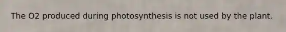 The O2 produced during photosynthesis is not used by the plant.