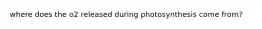 where does the o2 released during photosynthesis come from?