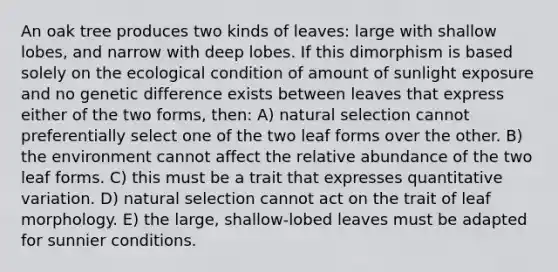 An oak tree produces two kinds of leaves: large with shallow lobes, and narrow with deep lobes. If this dimorphism is based solely on the ecological condition of amount of sunlight exposure and no genetic difference exists between leaves that express either of the two forms, then: A) natural selection cannot preferentially select one of the two leaf forms over the other. B) the environment cannot affect the relative abundance of the two leaf forms. C) this must be a trait that expresses quantitative variation. D) natural selection cannot act on the trait of leaf morphology. E) the large, shallow-lobed leaves must be adapted for sunnier conditions.