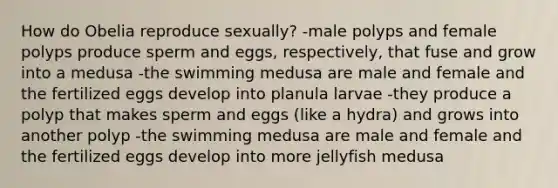 How do Obelia reproduce sexually? -male polyps and female polyps produce sperm and eggs, respectively, that fuse and grow into a medusa -the swimming medusa are male and female and the fertilized eggs develop into planula larvae -they produce a polyp that makes sperm and eggs (like a hydra) and grows into another polyp -the swimming medusa are male and female and the fertilized eggs develop into more jellyfish medusa