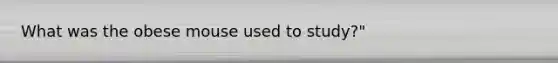 What was the obese mouse used to study?"
