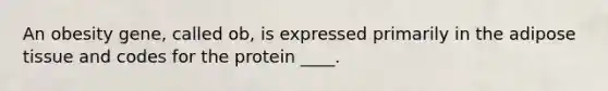 An obesity gene, called ob, is expressed primarily in the adipose tissue and codes for the protein ____.