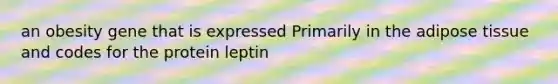 an obesity gene that is expressed Primarily in the adipose tissue and codes for the protein leptin