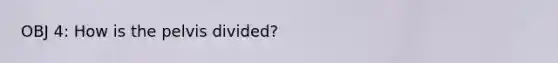 OBJ 4: How is the pelvis divided?