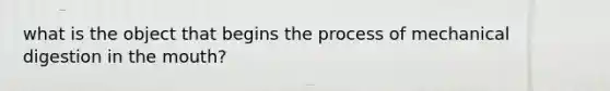 what is the object that begins the process of mechanical digestion in the mouth?