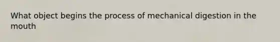 What object begins the process of mechanical digestion in the mouth