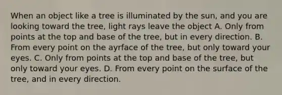 When an object like a tree is illuminated by the sun, and you are looking toward the tree, light rays leave the object A. Only from points at the top and base of the tree, but in every direction. B. From every point on the ayrface of the tree, but only toward your eyes. C. Only from points at the top and base of the tree, but only toward your eyes. D. From every point on the surface of the tree, and in every direction.