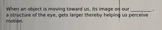 When an object is moving toward us, its image on our _________ , a structure of the eye, gets larger thereby helping us perceive motion.