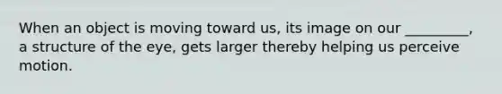 When an object is moving toward us, its image on our _________, a structure of the eye, gets larger thereby helping us perceive motion.
