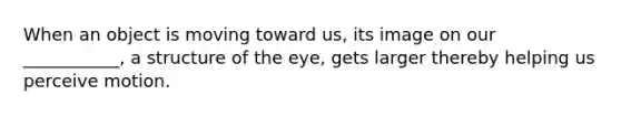 When an object is moving toward us, its image on our ___________, a structure of the eye, gets larger thereby helping us perceive motion.