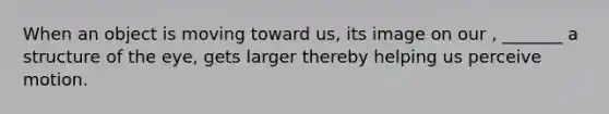 When an object is moving toward us, its image on our , _______ a structure of the eye, gets larger thereby helping us perceive motion.