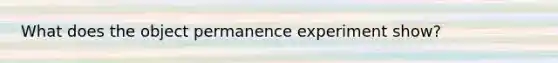 What does the object permanence experiment show?