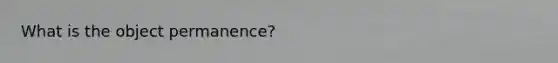 What is the object permanence?