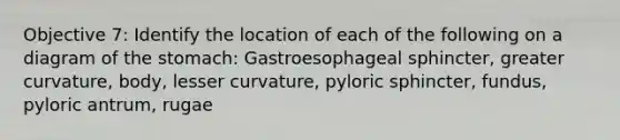 Objective 7: Identify the location of each of the following on a diagram of the stomach: Gastroesophageal sphincter, greater curvature, body, lesser curvature, pyloric sphincter, fundus, pyloric antrum, rugae