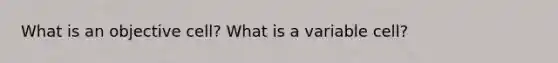 What is an objective cell? What is a variable cell?