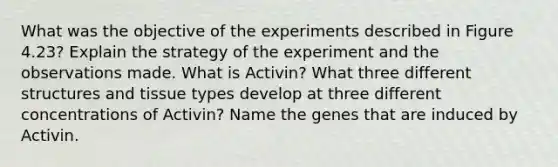 What was the objective of the experiments described in Figure 4.23? Explain the strategy of the experiment and the observations made. What is Activin? What three different structures and tissue types develop at three different concentrations of Activin? Name the genes that are induced by Activin.