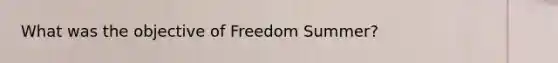 What was the objective of Freedom Summer?