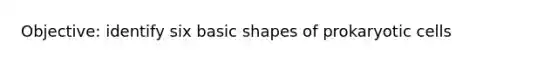 Objective: identify six basic shapes of <a href='https://www.questionai.com/knowledge/k1BuXhIsgo-prokaryotic-cells' class='anchor-knowledge'>prokaryotic cells</a>