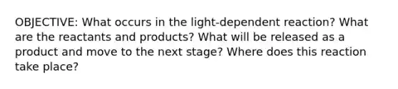 OBJECTIVE: What occurs in the light-dependent reaction? What are the reactants and products? What will be released as a product and move to the next stage? Where does this reaction take place?